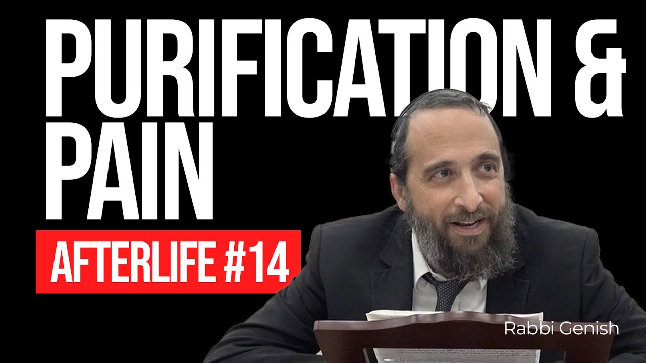 2 Aspects of Gehinom: Pain & Purification (Afterlife #14)