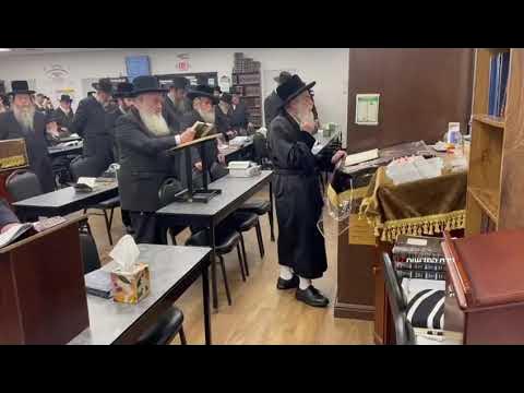 האדמו"ר מויז'ניץ בספירת העומר בפלורידה