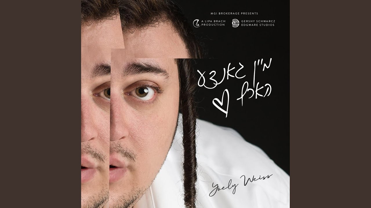 מיין גאנצע הארץ