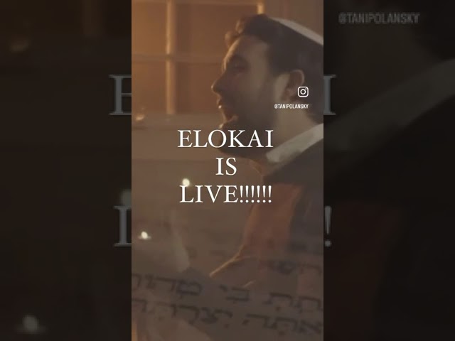 Elokai: Streaming NOW on my YouTube channel!             #inspiringmusic #jewishmusic