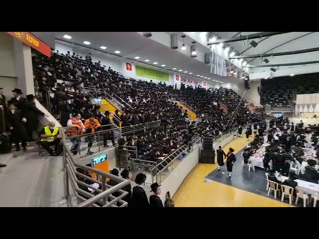שמחת החתונה בבית סאטמאר בני ברק- וויזניץ - סעריט וויזניץ