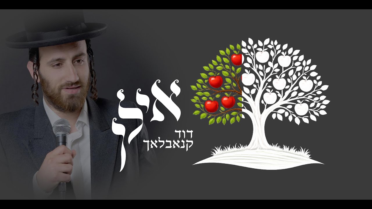 אילן - דוד קנאבלאך Ilan - Dovid Knobloch