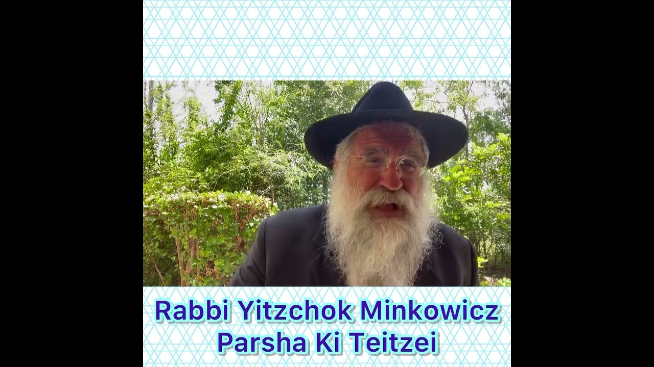 Rabbi Yitzchok Minkowicz Weekly Torah Lesson Parsha Ki Teitzei Is the Struggle Real?