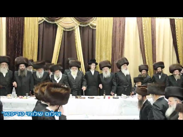 ריקוד בשמחת התנאים בחצרות ערלוי - קוסוב ויז'ניץ - דושינסקיא - סערט ויז'ניץ