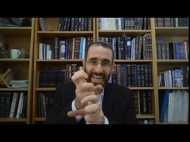 עיון בלקיחת ארבעת המינים I הרב יצחק דעי