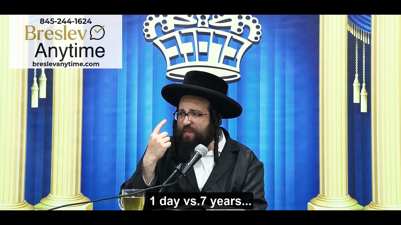Rabbi Yoel Roth - A fly that lives for 1 day but fights for 7 years