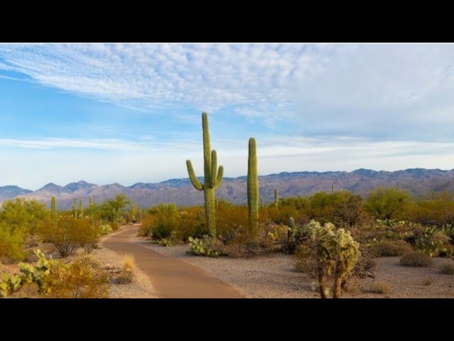 Exploring the Chasidic Jewish Community in Casa Grande, Arizona - New Homeowner's Tour