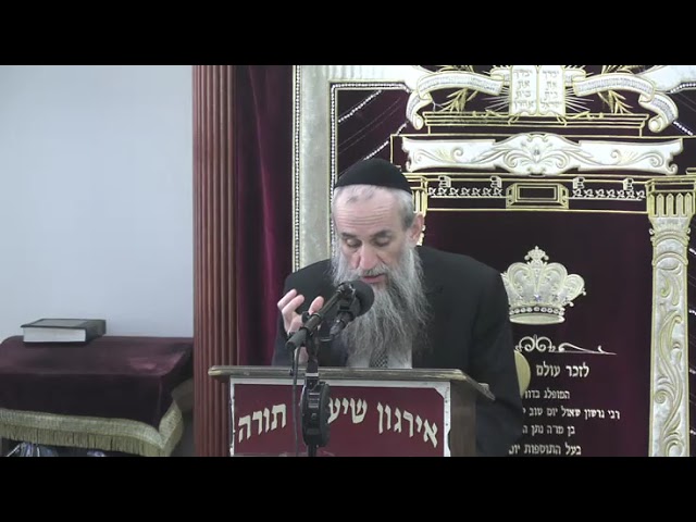 Visiting A Hospital On Shabbos -  Rabb Yakov  Zev Smith