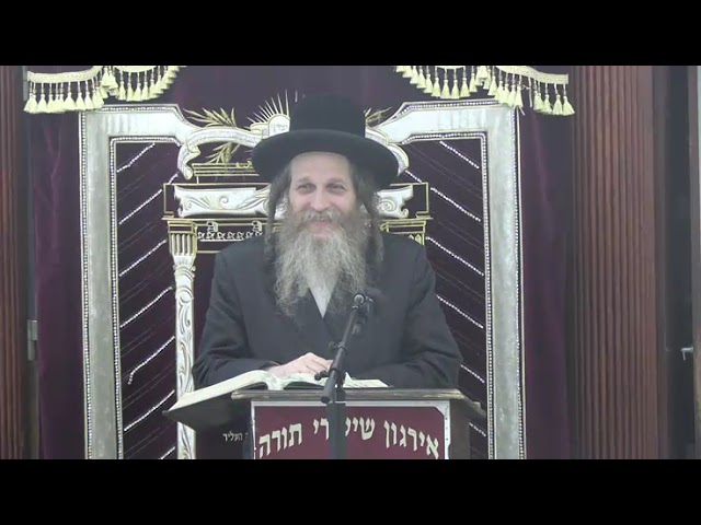 דיני בשר שנתעלם מן העין /דין חותם בתוך חותם -  ר' עמרם  קליין שליט"א