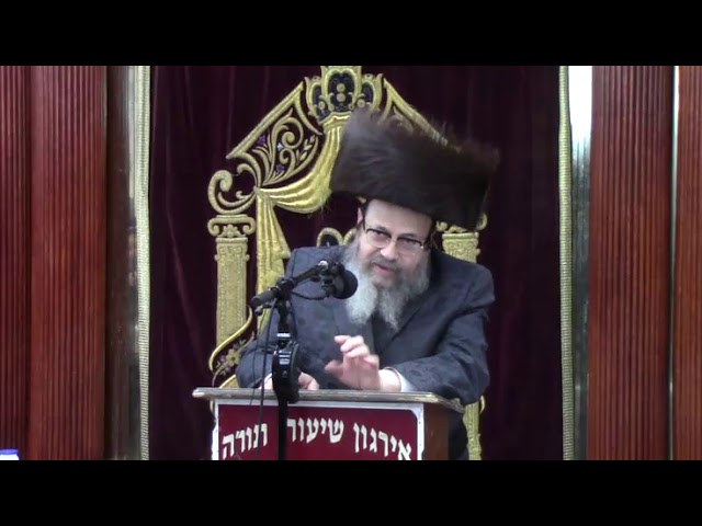 שאלות ותשובות עם הרב יהושע כ"ץ שליט"א בעניני כשרות מוצרים עם הכשר
