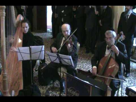 Sesame Street Played at a Chupah By Shloime Dachs Orchestra.mp4