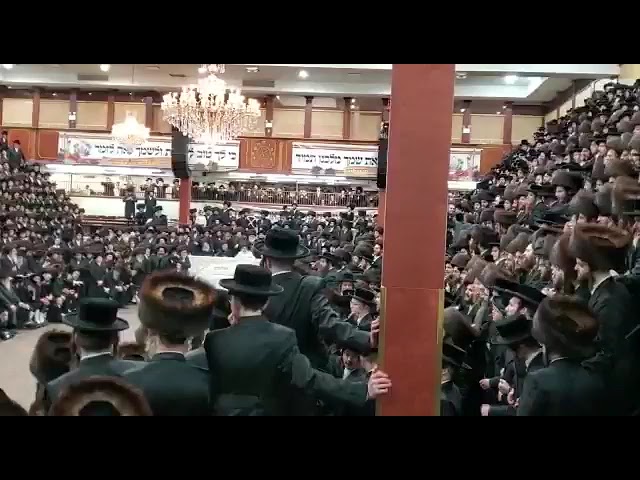 #satma #לחיים #viral #video #youtubeshorts