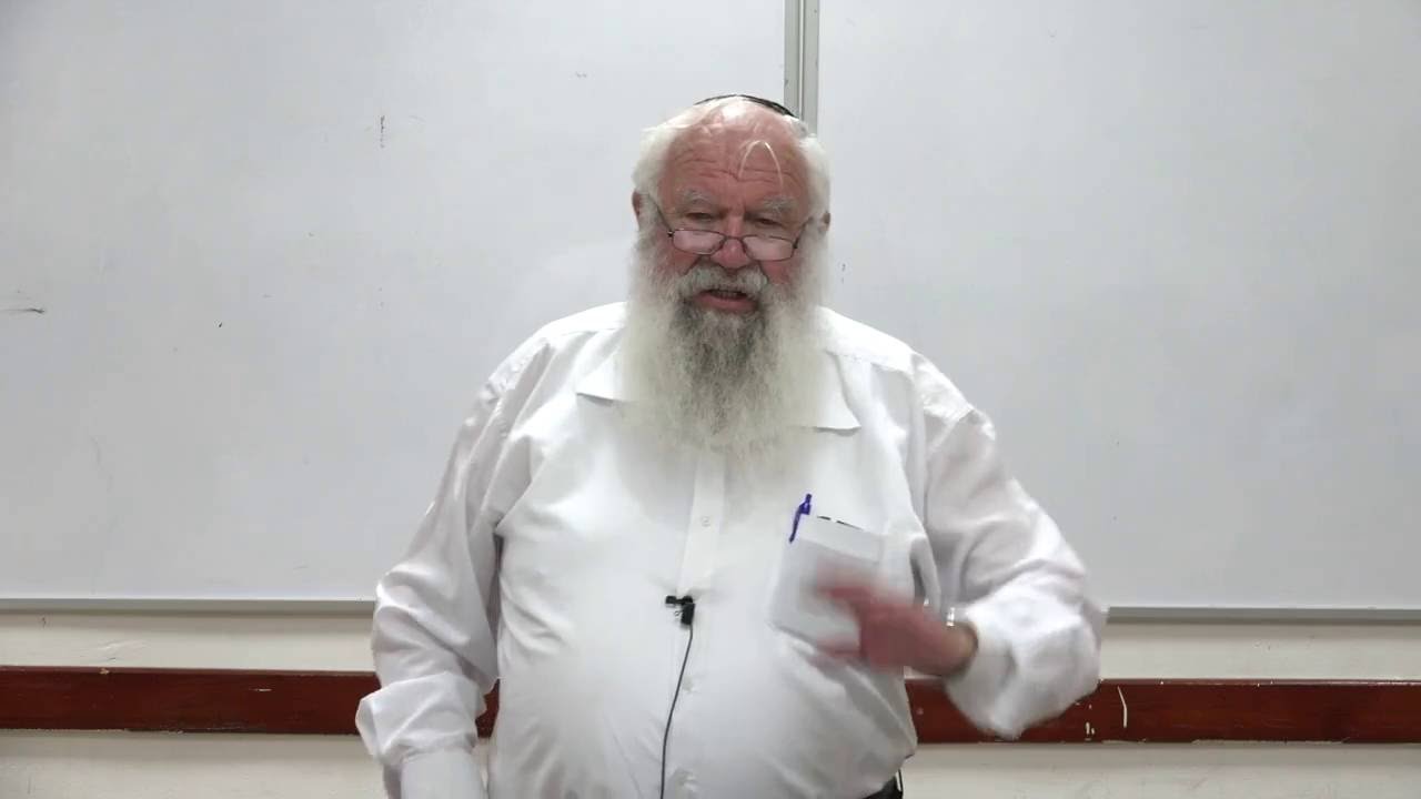 יונה, נבואה ותוכחה: כל האמת על ספר יונה