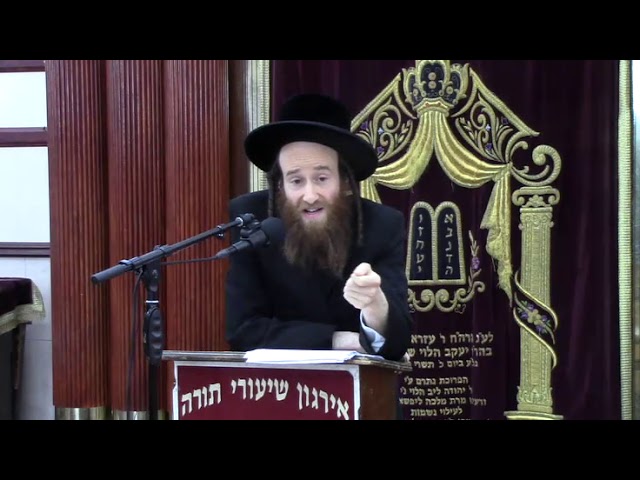 דיני מוקצה בשבת - הרב מרדכי אייזן