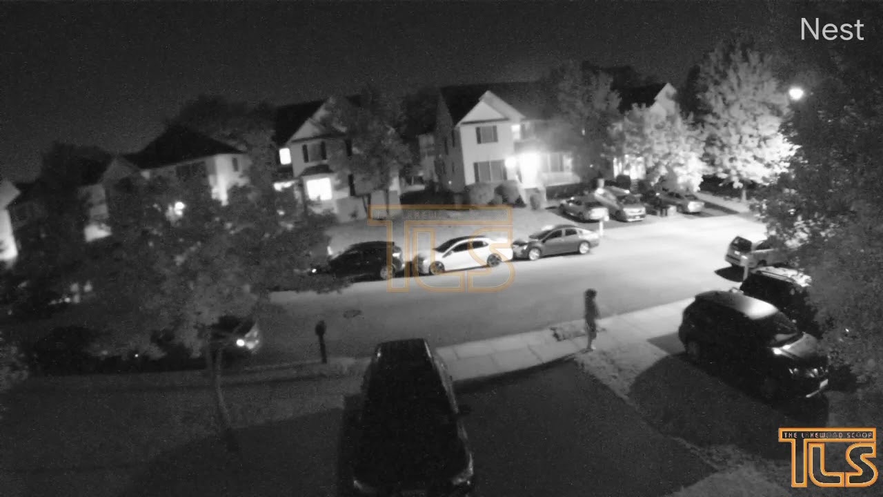 Scared car burglar in Lakewood