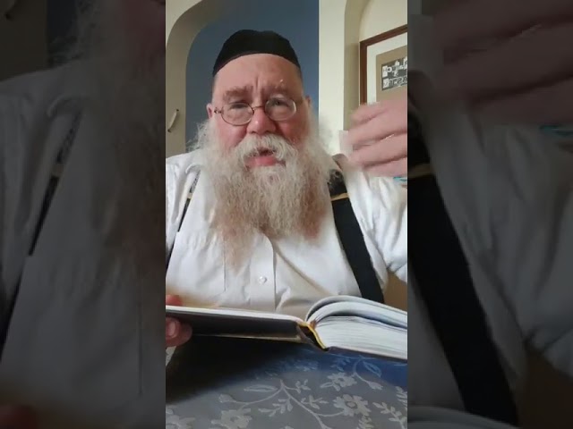 Praising vs. Singing - Rabbi Chaim Dalfin