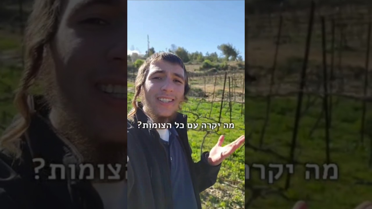 אלקנה וולפסון: למה ההתנגדות להר הבית כל כך גדולה??🤔 #יהדות