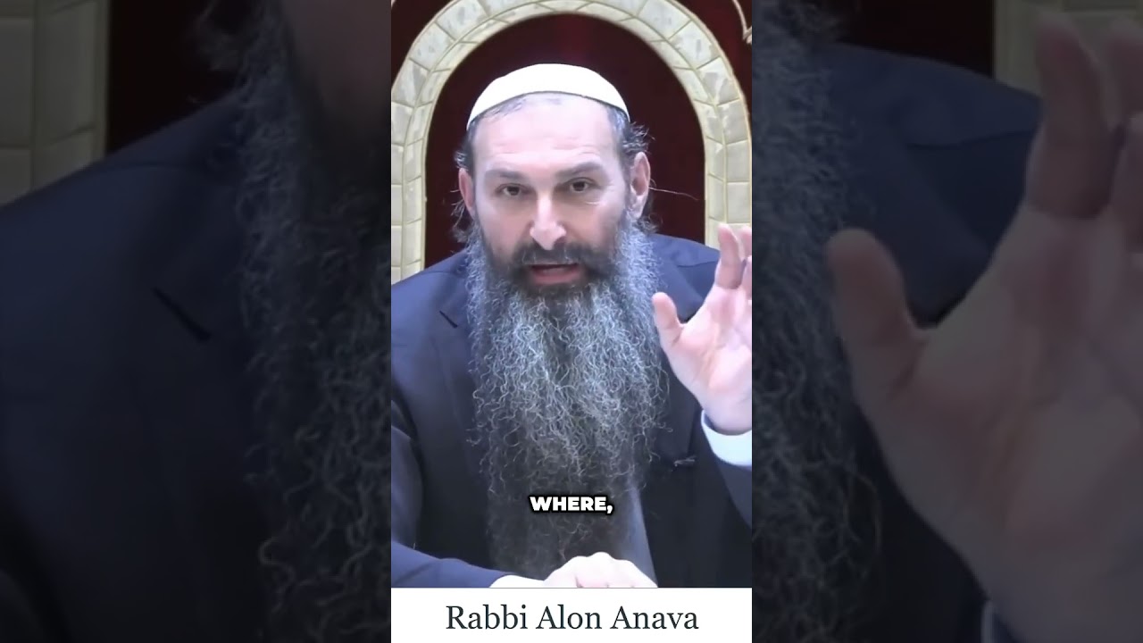 You must seek the Torah! #torah  #motivational