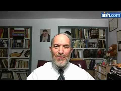 The Ultimate Purim Question - Salomon Says Video