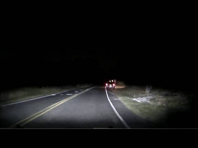 Deer jumps into vehicle
