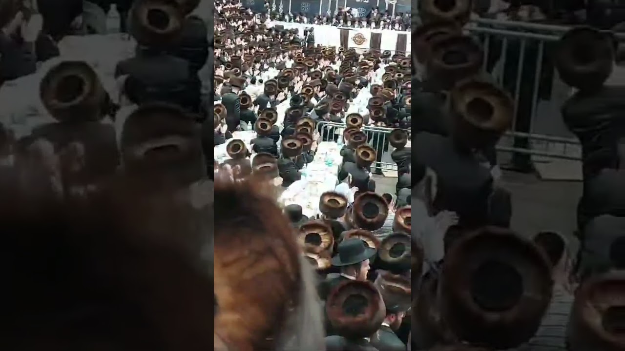 בגלל אבות תושיע בנים: שמחת בית סקווירא קרעטשניף זוועהיל