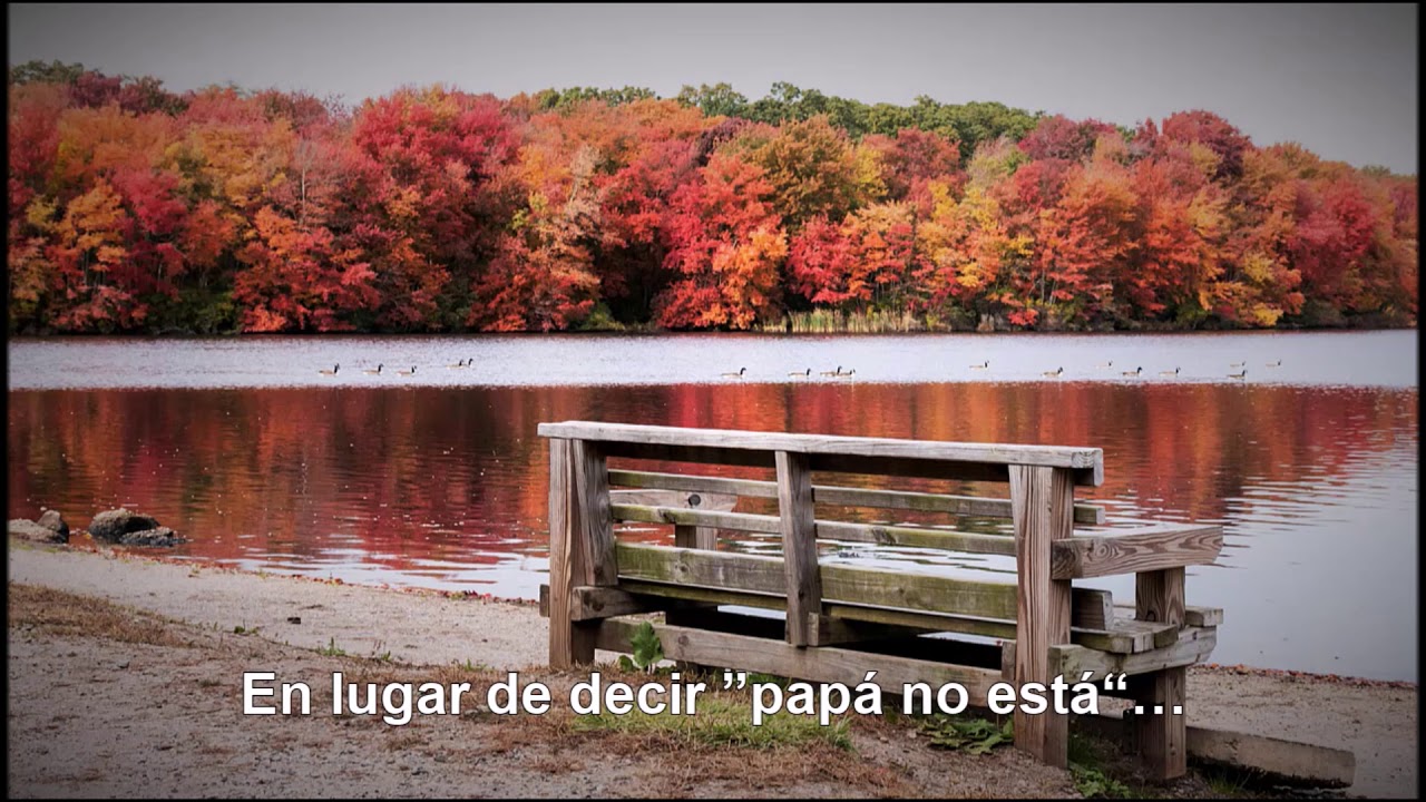 El último día - Motty ilowitz | Traducido al español