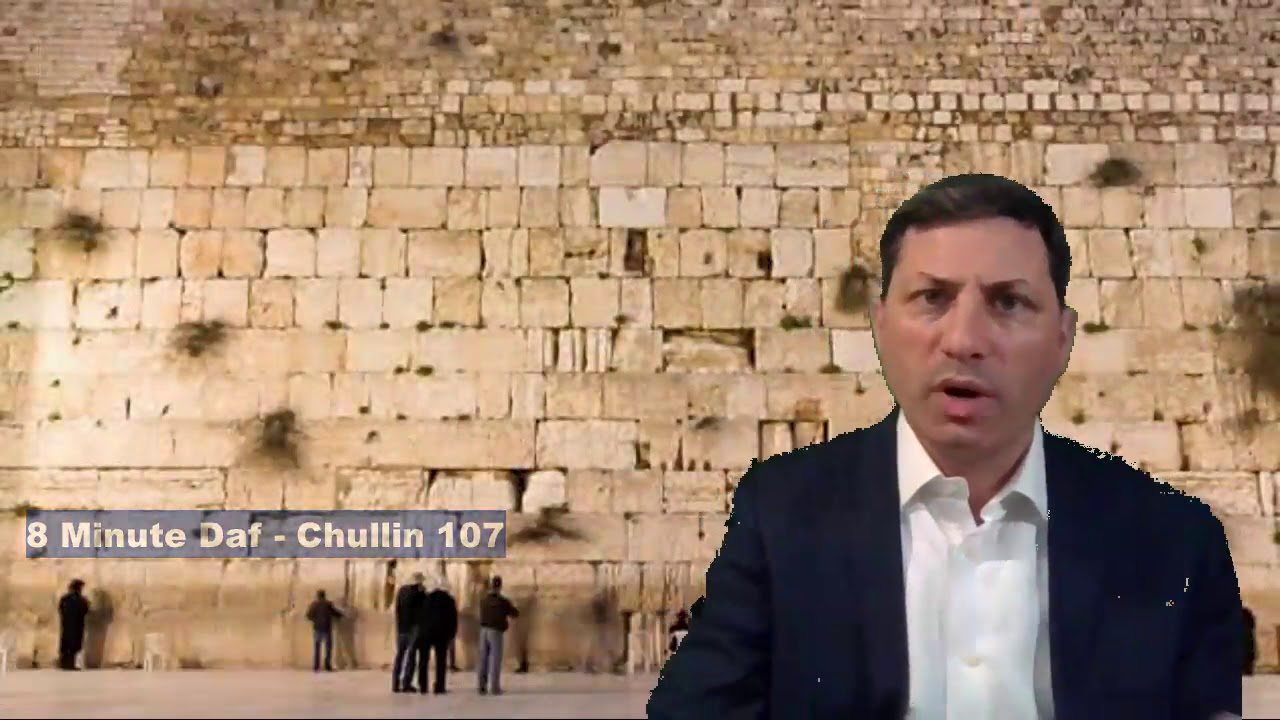 8 Min Daf - Chullin Daf 107  by R’ Eli Stefansky