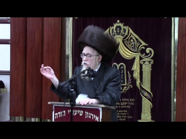שאלות ותשובות עם דומ"ץ סקוירא הרה"ג ר' יחיאל מיכל שטיינמץ שליט"א  - חול המועד פסח תשע"ט