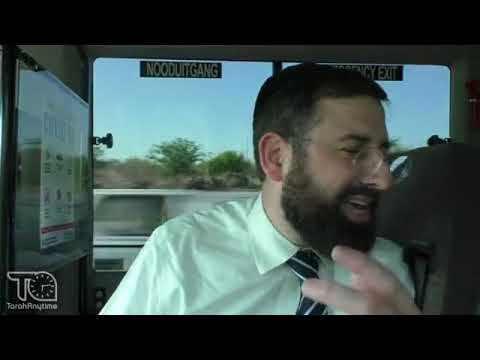 Toras HaSafari: The Cat Who Prayed at the Kosel, Kruger National Park - Journey to South Africa