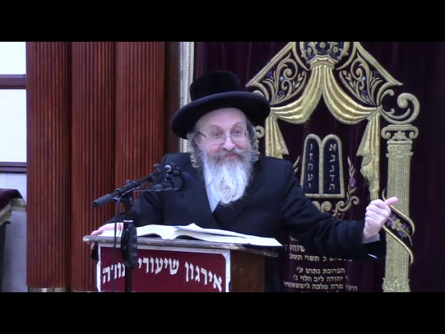 דיני טעות בברכת הנהנין - ר' אהרן זילבערשטיין שליט"א