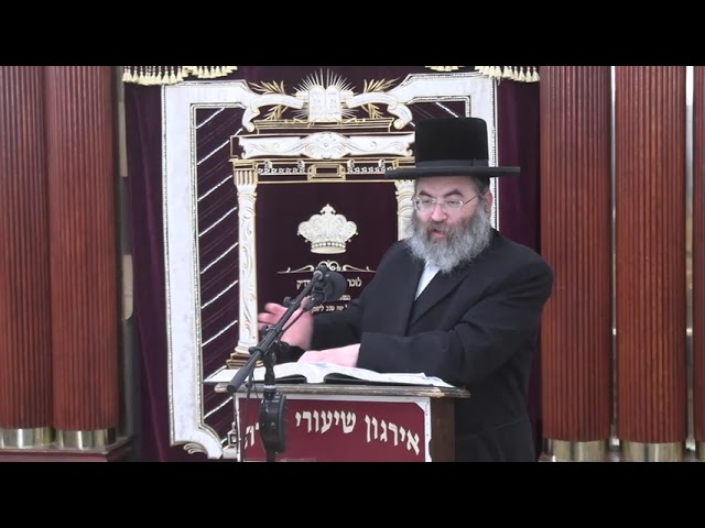 שיעור כללי בהלכות השבת אבידה - ר' שמשון ציננער שליט"א