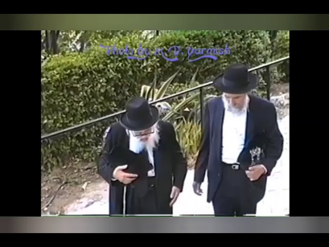Harav Elazar Menachem Man Shach ztz"l - Credit: M.D. Yarmish