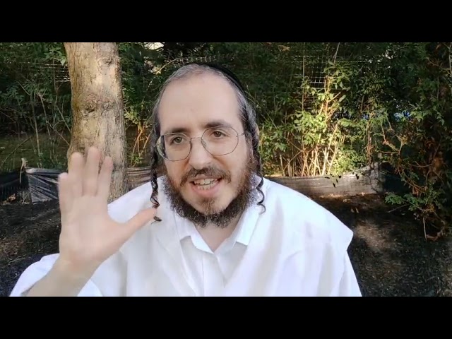 Your own מ"ב מסעות