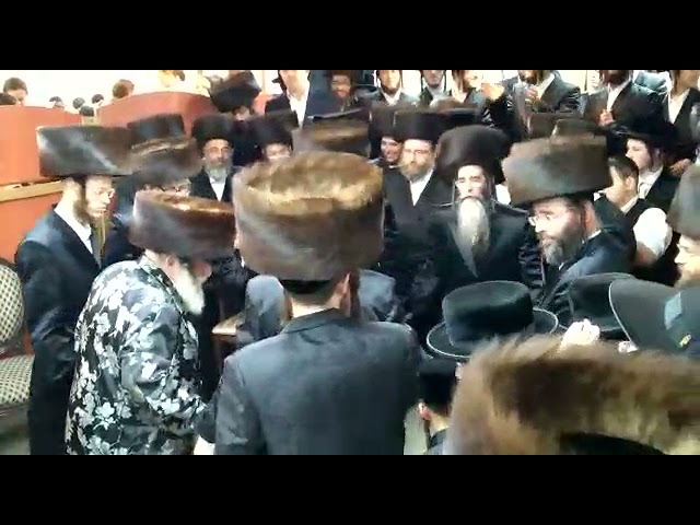 כ״ק אדמו״ר מוויזניץ שליט״א איז זיך משתתף ביים שמחת החתונה פון בן המשב״ק ר׳ שאול גרינבערגער הי״ו