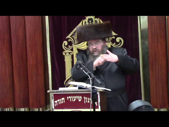 חג הסוכות - הרב משה מאיר לדרמן