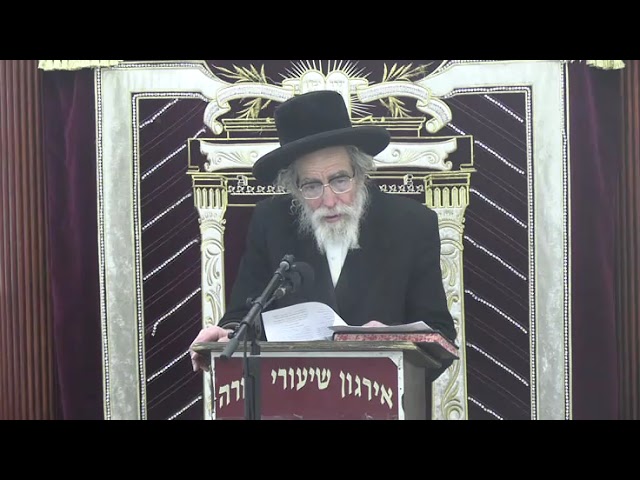 הלכות הנוגע לליל הסדר -  ר' לייבל וויליגער שליט"א