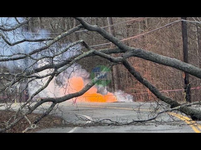 Strong winds downed a tree onto wires on Lakes Rd, sparking a small brush fire