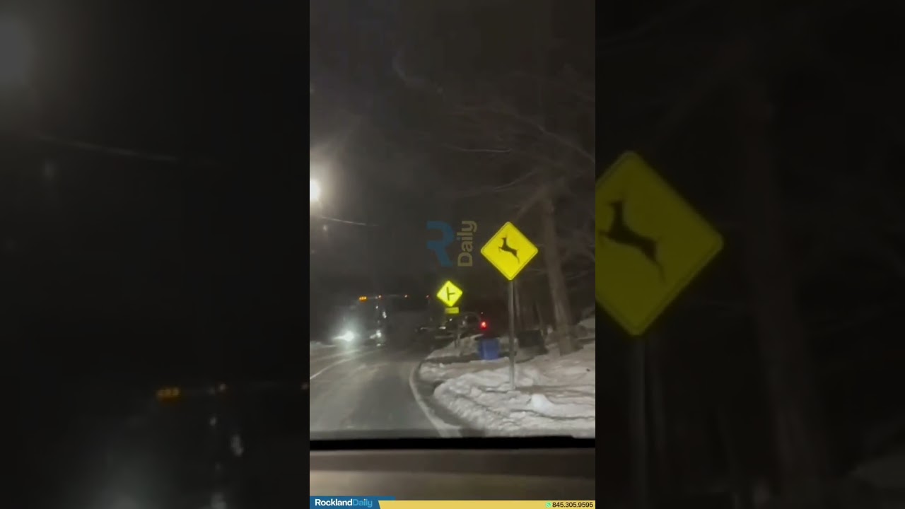Watch: the moment a vehicle crashed into the bus in a head on collision on Saddle River Road.