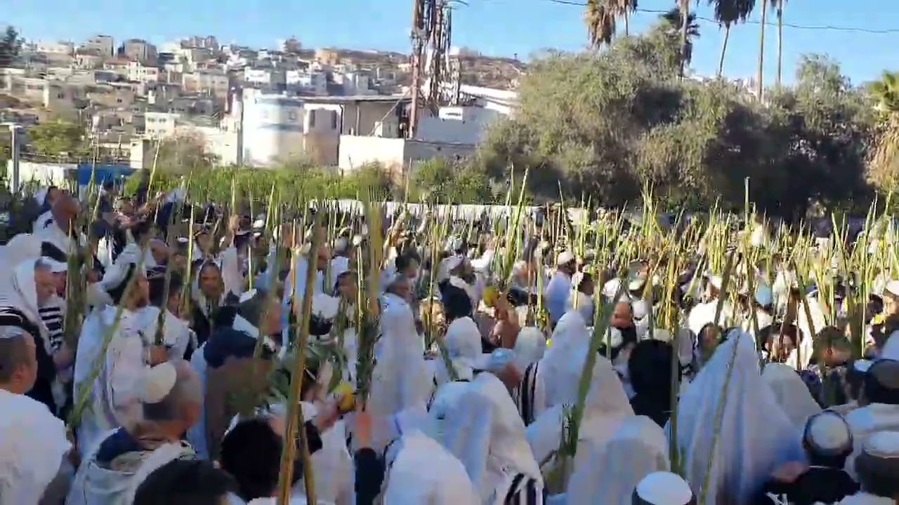 סכות