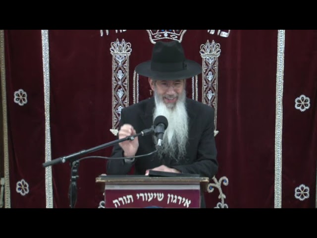 Money Disputes - Rabbi Dovid Goldwasser Shlita