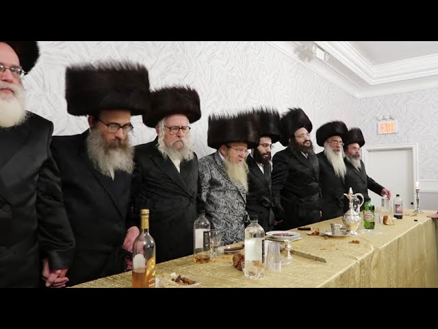 שמחת השבע ברכות פון נכד כ"ק אדמו"ר מזימיגראד שליט"א