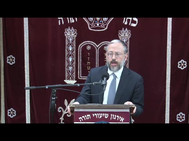 The Will In Halacha - Rabbi Ari Marburger