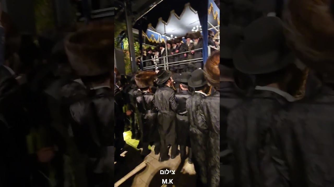 הקהל בריקודים לאחר מעמד החופה בשמחת נישואי בן כ"ק מרן האדמו"ר שליט"א