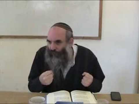 הרב יהושע שפירא - יש לך כנפי רוח - י"ח אדר א' תשע"ד