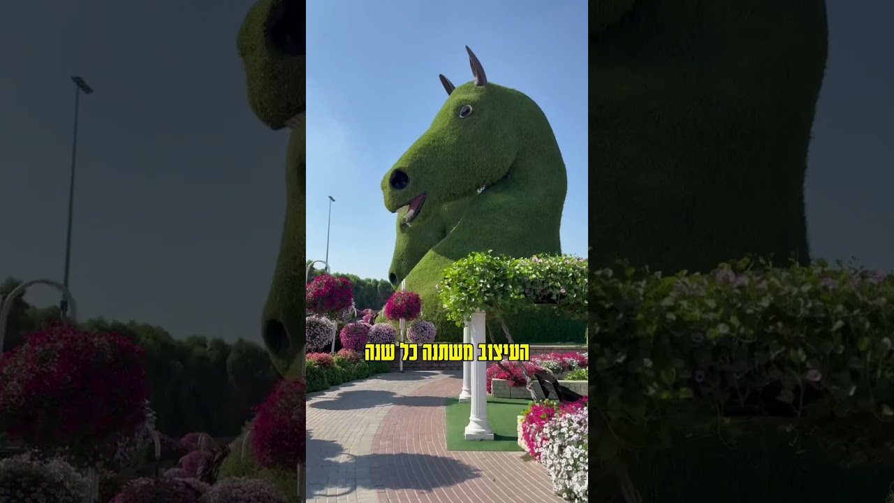 לרשום בוויז mircale garden Dubai