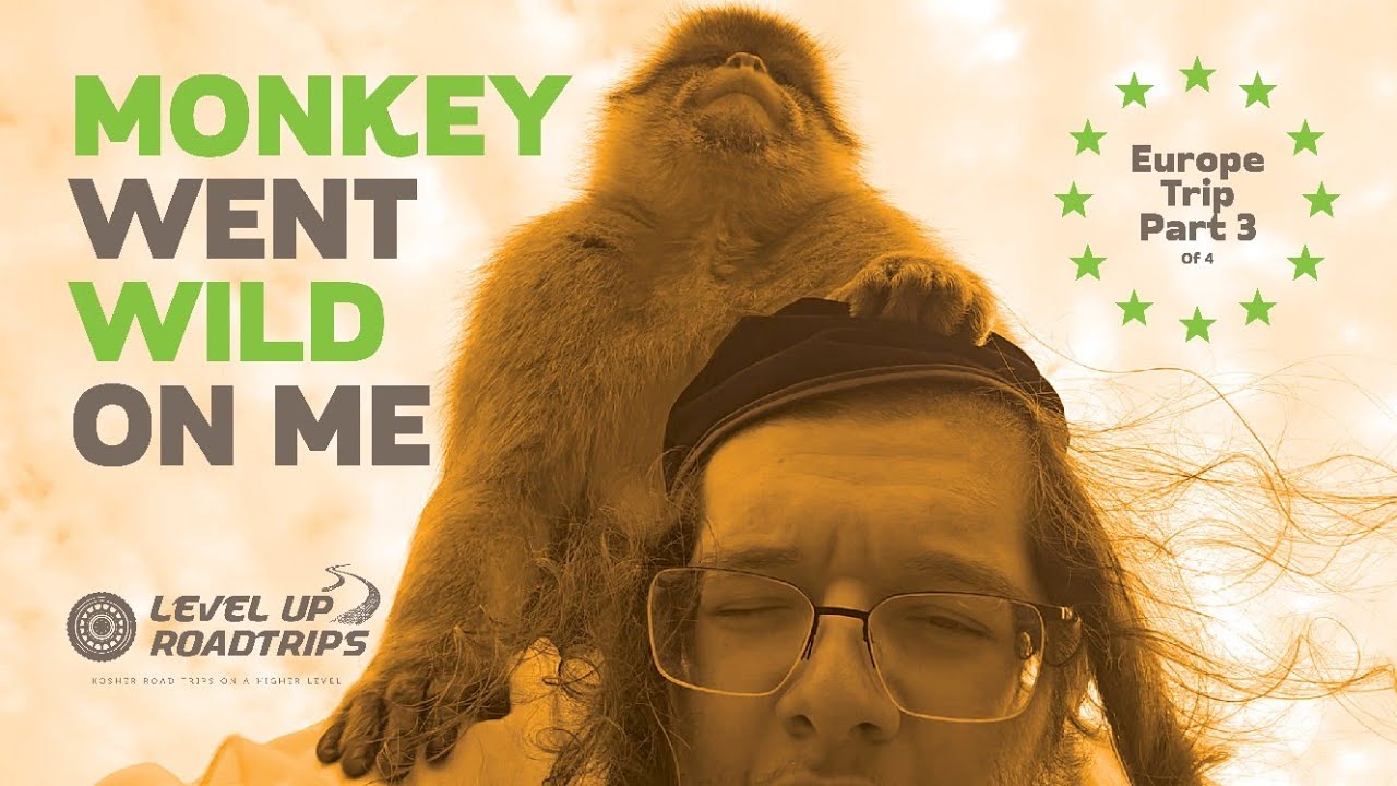 A monkey went wild on me - Europe Trip Part 3 | Yiddish