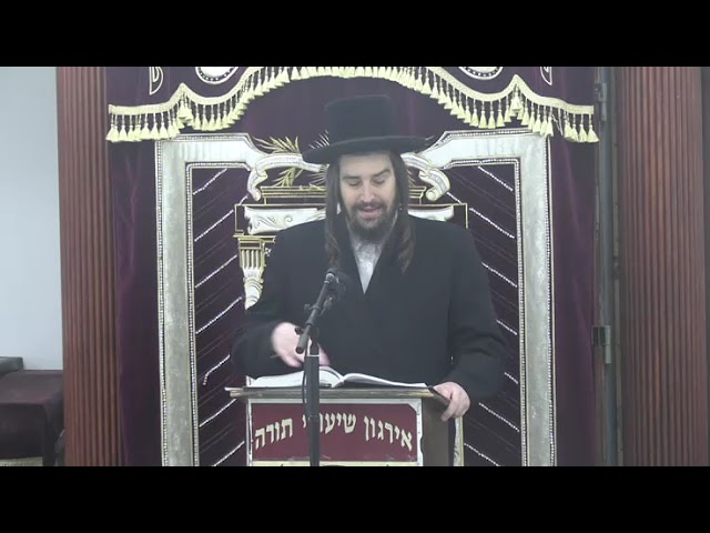 הלכות נזקי שכנים - הרב ישראל פאנעט