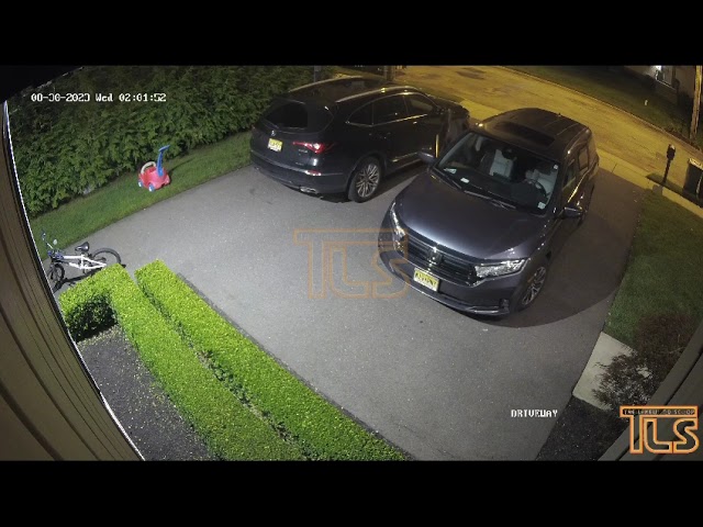 Watch thieves going through vehicles in Lakewood