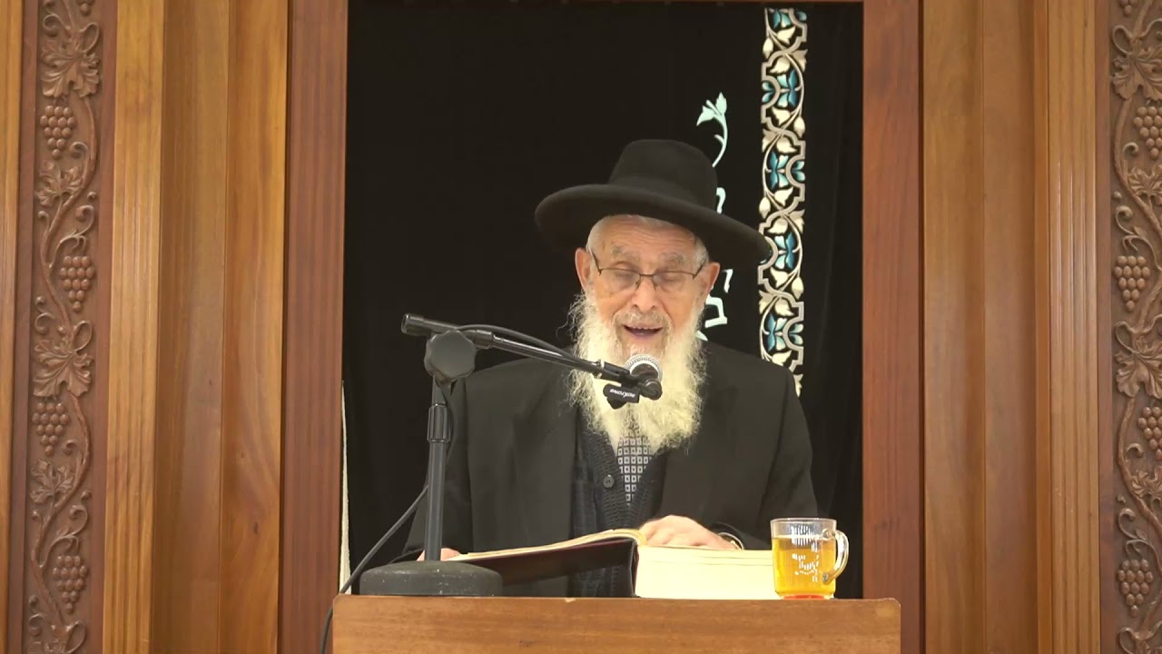 הנהו שבבי  | שיעור כללי בבא בתרא- כט. | הרב יעקב אריאל