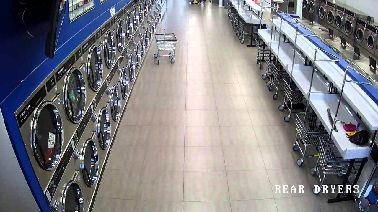 Woman Caught on Camera Stealing Wallet